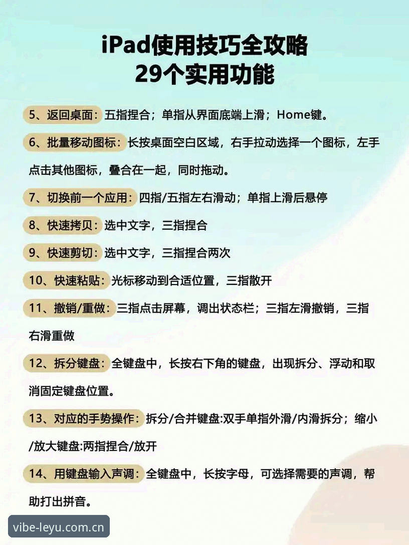 资深用户分享：乐鱼官方版教程全攻略，从入门到精通的使用心得